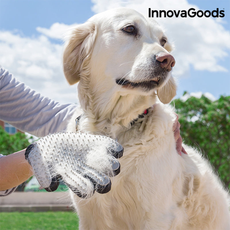Pet Brush & Massage Glove Relpet InnovaGoods - ForViva